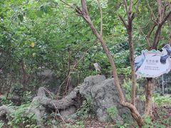 -常州淹城野生动物世界