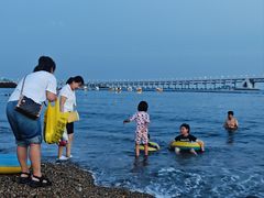 -星海湾跨海大桥