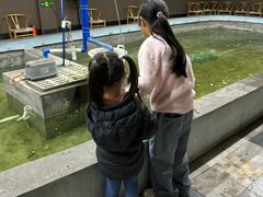 -光头佬室内钓虾场·烧烤·团建·亲子(中山八路店)