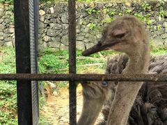 -吉隆坡雀鸟公园
