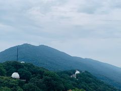 -紫金山山顶公园