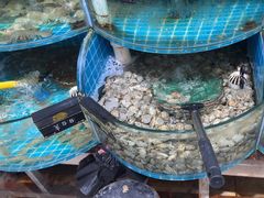 -正亮农家院·海鲜本地菜