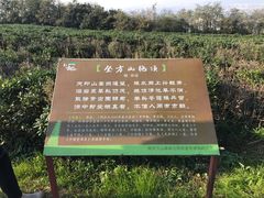 -南京市江宁方山