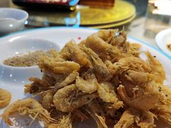 盐水本地虾-倍儿美海鲜大排挡·非遗海鲜蒸饺(洋货店)