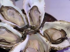 -蚝堡海鲜·威海菜·海肠捞饭·烧烤·亚洲吃蚝公司(幸福门店)