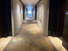 -成都保利公园皇冠假日酒店(熊猫基地店)