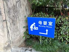-合肥野生动物园