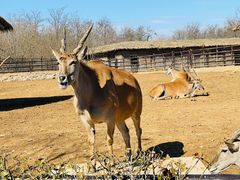 -济南野生动物世界