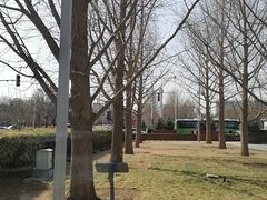 -武汉姚家山旅游景区