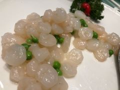 -新吉士·上海菜(浦东LCM置汇旭辉店)