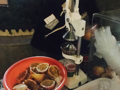 -上海机场-城市航站楼