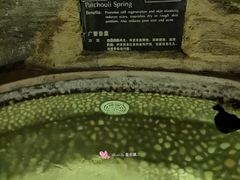 -海口观澜湖火山温泉谷