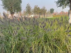 -汉长安城未央宫国家考古遗址公园