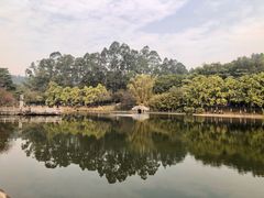 -三水森林公园