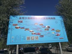 -金塔沙漠胡杨林景区