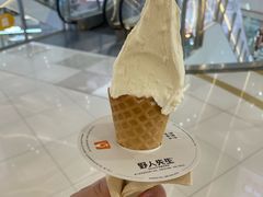-野人先生Gelato(上海长宁龙之梦店)