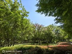 -东升八家郊野公园