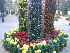 iphone_upload_pic-中国翰园碑林