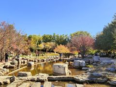 -大望京公园