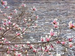 -东华门大街小区