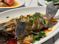 -金海湾海鲜排档(朱家尖店)