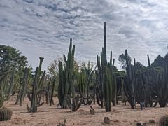 -东莞植物园