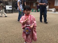 -名古屋城