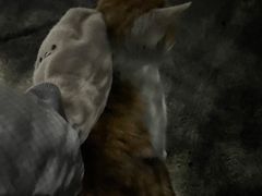 -蕃茄田艺术•美术绘画 •硬笔书法(滨江海威领界店)