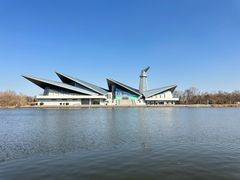 -盐城丹顶鹤湿地生态旅游区