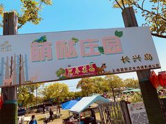 -上海长兴岛郊野公园