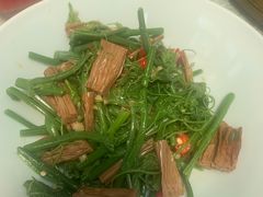 -食家鸽园