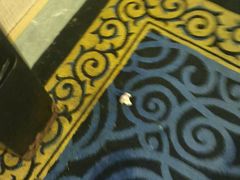 -美林大浴场(奥体中心店)