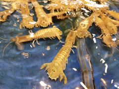 -三亚火车头万人海鲜广场