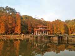 -深圳仙湖植物园