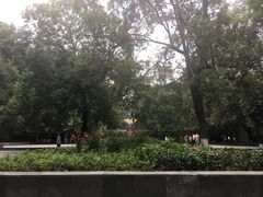 -绵阳人民公园(涪城区)