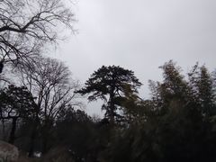 -香山公园