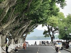 -西湖游船