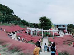 -牛岗山公园