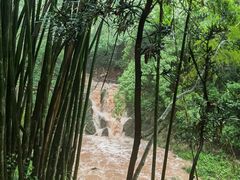 -凤栖山