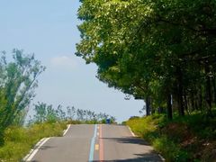 -南京老山国家森林公园