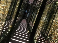-天龙轩(香港丽思卡尔顿酒店)