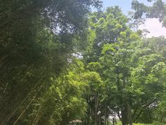 -晓港公园