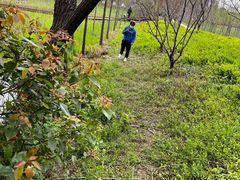 -昆山城市生态森林公园