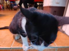 -阿一猪红汤(东风西路店)