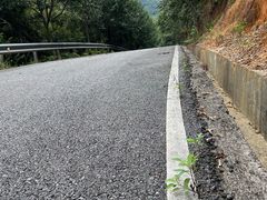 -广州白江湖森林公园