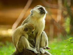 -面包与我Bread Or Me(长城汇店)