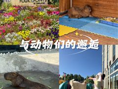 -廊坊固安福朋喜来登酒店