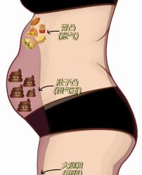 -香薇妮丝·定制减肥·身材管理