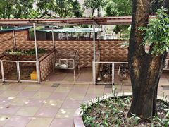 -洞背山庄(洞背院区式管理小区店)