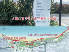 -大梅沙海滨公园